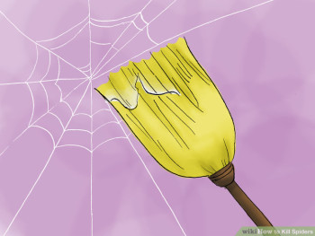 broom-and-spiderweb